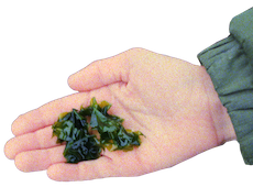 resillience recipes