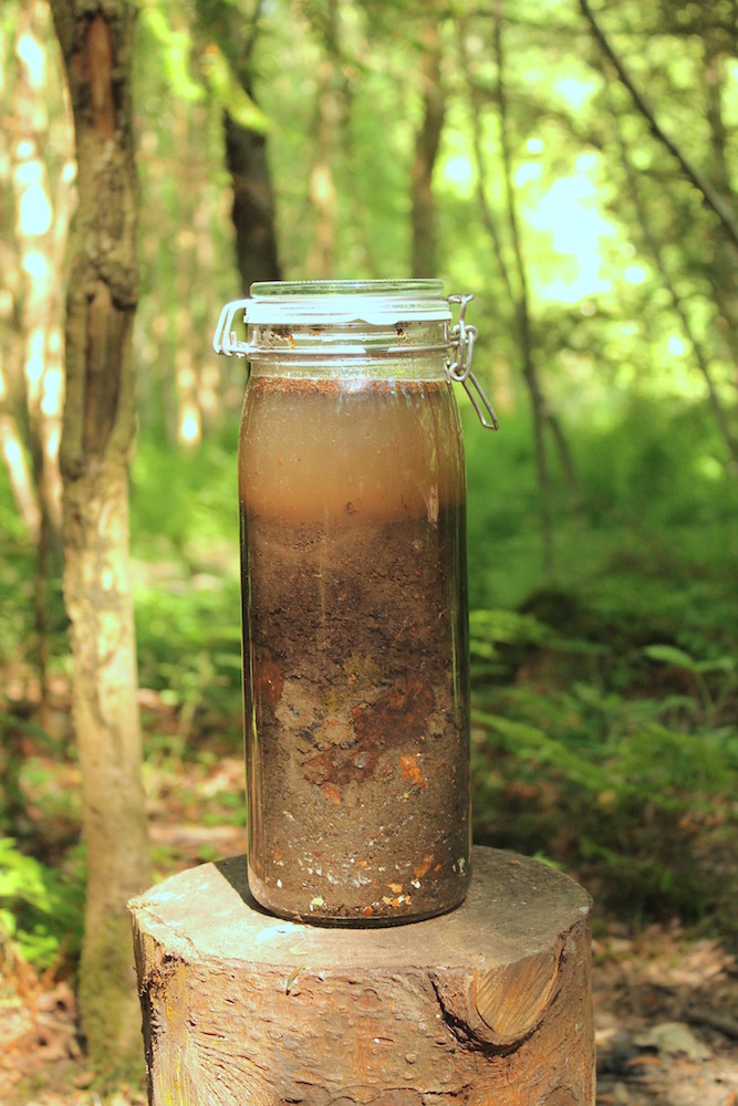 Dukes Hagg Column