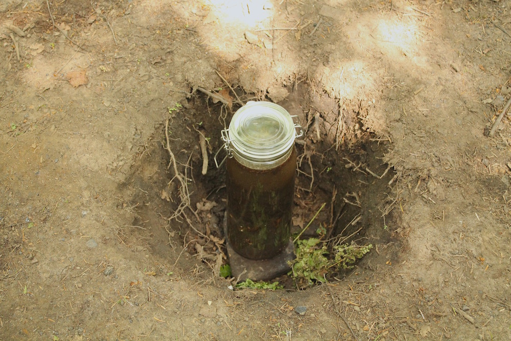 Dukes Hagg Column