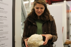 Mediamatic mycelium 'brick'