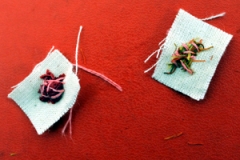 Natural materials with anti-bacterial properties stitched onto canvas