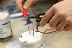 Collecting soil: Jam jar, soil, electrode tissue disc with a+ connector