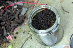 Jam jar: x2 electrode tissue discs with a + and - connectors, soil and lid