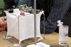 Fly 'net' enclosure with a feeding system