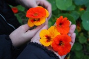 IMG_8413-copy
