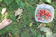 IMG_9529-copy