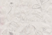 Eating Things, Forage impression,  Hospitalfield, 2021
