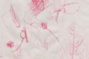 Eating Things, Forage impression,  Hospitalfield, 2021