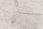 Eating Things, Forage impression,  Hospitalfield, 2021