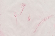 Eating Things, Forage impression,  Hospitalfield, 2021