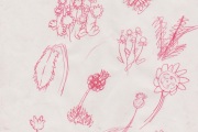 Eating Things, Forage impression,  Hospitalfield, 2021