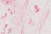 Eating Things, Forage impression,  Hospitalfield, 2021