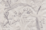 Eating Things, Forage impression,  Hospitalfield, 2021