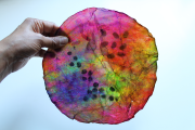 disco-scoby-sm-colours