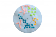 transparency-microbes
