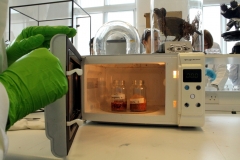 microwaving/heat extraction of dyes