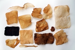 dried daughters