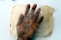 dried daughter
