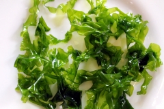 Sea lettuce lunch