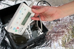 Geiger counter & local algae- extremely low to undetectable