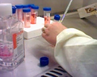 Making media with an antibiotic solution