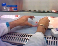 Working inside the hood mashing marrow