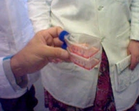 Cells / tissue solution divided into flasks