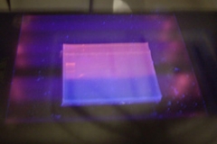 Gel electrophrenosis under UV light